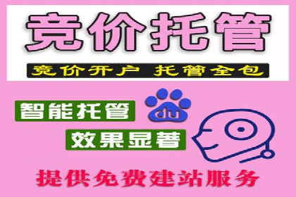 SEM广告投放优化：从失败到成功的转变案例